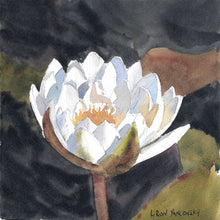 Load image into Gallery viewer, The Color of Petals (7.5&quot;x7.5&quot;)
